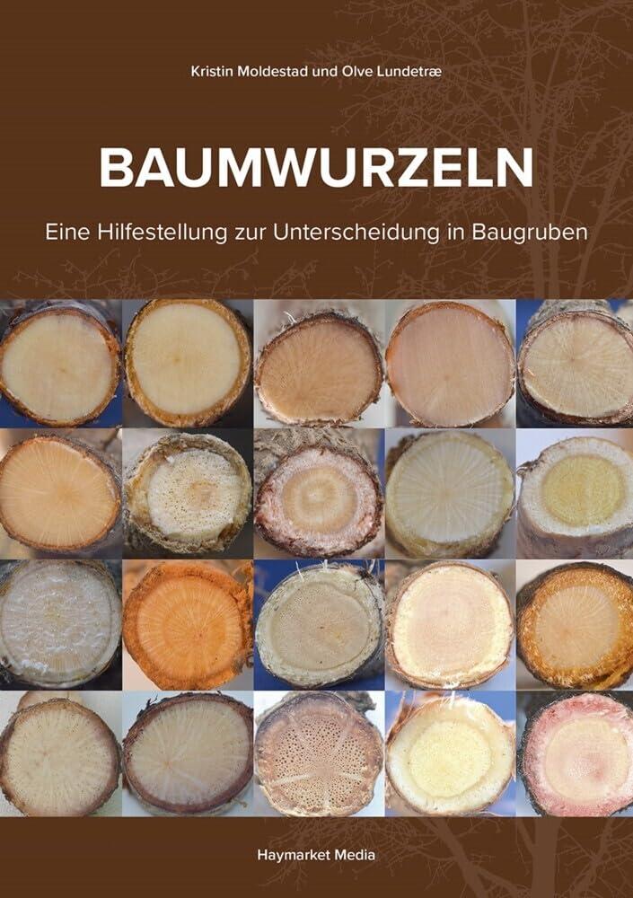 Baumwurzeln: Eine Hilfestellung zur Unterscheidung in Baugruben