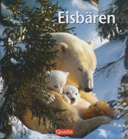 Eisbären