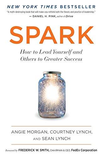 Spark: How to Lead Yourself and Others to Greater Success