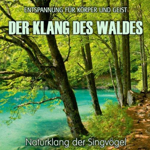 Der Klang des Waldes - Naturklang der Singvögel (ohne Musik) Entspannung für Körper und Geist