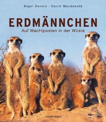 Erdmännchen: Auf Wachtposten in der Wüste