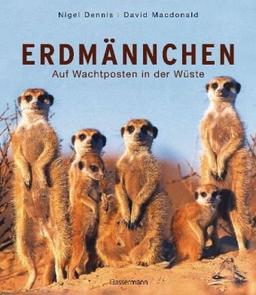 Erdmännchen: Auf Wachtposten in der Wüste