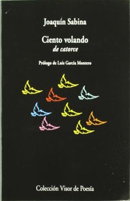 Ciento volando de catorce (Visor de Poesía, Band 476)