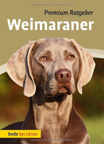 Weimaraner