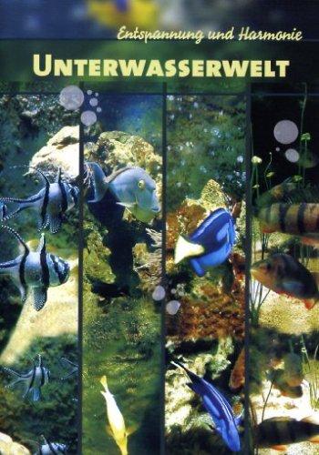 Unterwasserwelt - Entspannung und Harmonie