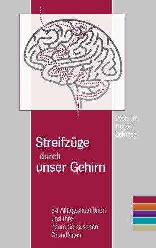 Streifzüge durch unser Gehirn: 34 Alltagssituationen und ihre neurobiologischen Grundlagen