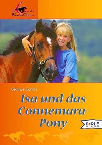 Isa und das Connemara-Pony: Die 6 aus der Pferde-Clique