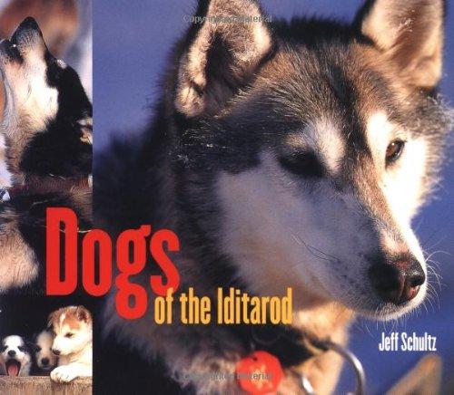 Dogs of the Iditarod