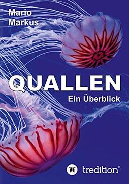 Quallen: Ein Überblick