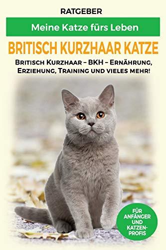 Britisch Kurzhaar Katze: Britisch Kurzhaar Katze Ratgeber - BKH Katze - Erziehung, Ernährung und Pflege (Katzenrassen)