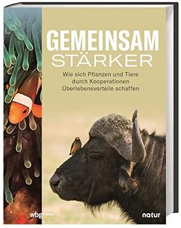 Gemeinsam stärker: Wie sich Pflanzen und Tieren durch Kooperationen Überlebensvorteile schaffen