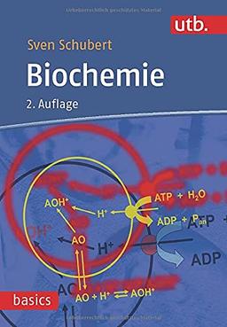 Biochemie (utb basics)