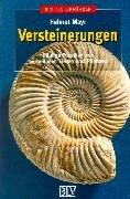 Versteinerungen: Häufige Fossilien von wirbellosen Tieren und Pflanzen