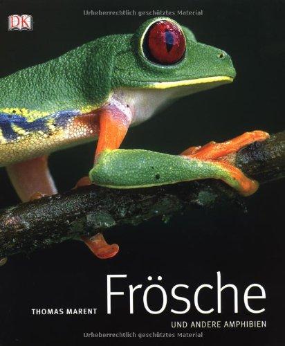 Frösche & andere Amphibien