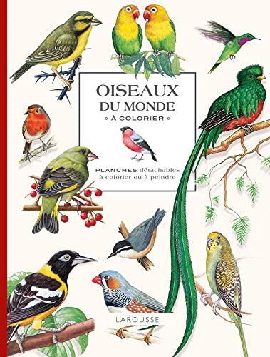 Oiseaux du monde à colorier : planches détachables à colorier ou à peindre