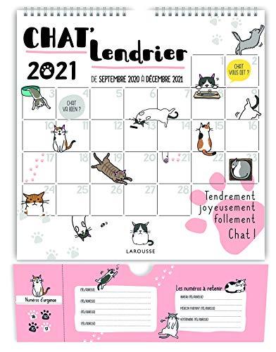 Chat'lendrier 2021 : de septembre 2020 à décembre 2021