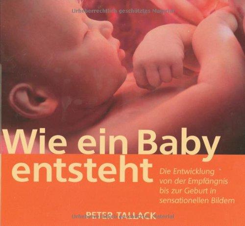 Wie ein Baby entsteht: Die Entwicklung von der Empfängnis bis zur Geburt in sensationellen Bildern