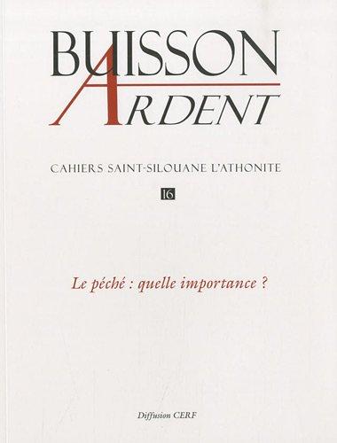 Buisson ardent-Cahiers Saint-Silouane l'Athonite, n° 16. Le péché : quelle importance ?