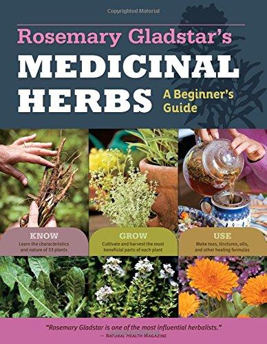 Beginner's Guide to Medicinal Herbs