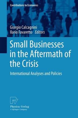 Small Businesses in the Aftermath of the Crisis: International Analyses and Policies (Contributions to Economics)