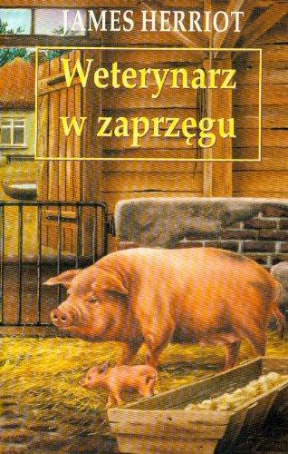 Weterynarz w zaprzęgu (WSZYSTKIE STWORZENIA MAŁE I DUŻE)