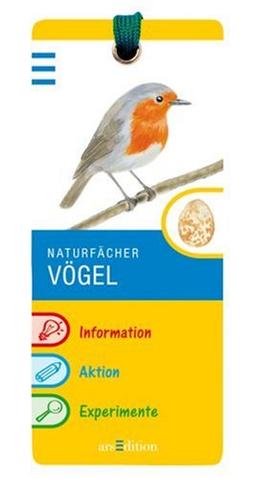 Vögel