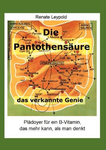 Die Pantothensäure - das verkannte Genie