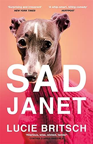 Sad Janet: ‘A whip-smart, biting tragicomedy’ HuffPost