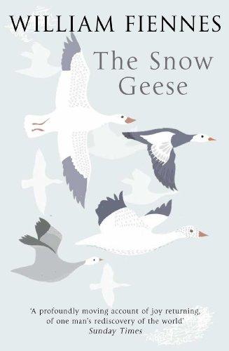 Snow Geese