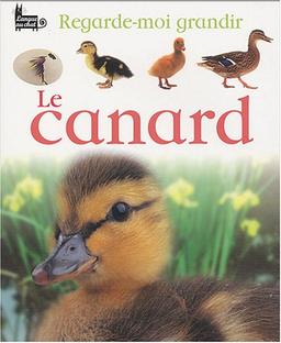 Le canard