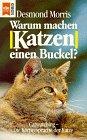 Warum machen Katzen einen Buckel?