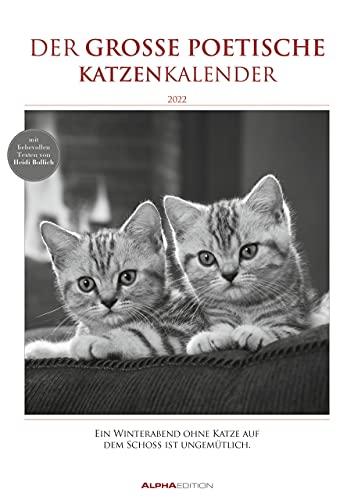 Der große poetische Katzenkalender 2022 - Bildkalender A3 (29,7x42 cm) - mit schönen Zitaten - schwarz-weiß - Tierkalender - Wandplaner - ... - mit Zitaten - schwarz-weiß - Tier-Kalender