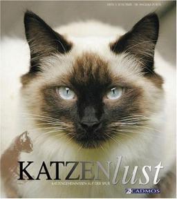 Katzenlust: Katzengeheimnissen auf der Spur