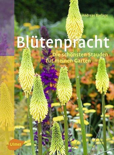 Blütenpracht: Die schönsten Stauden für meinen Garten