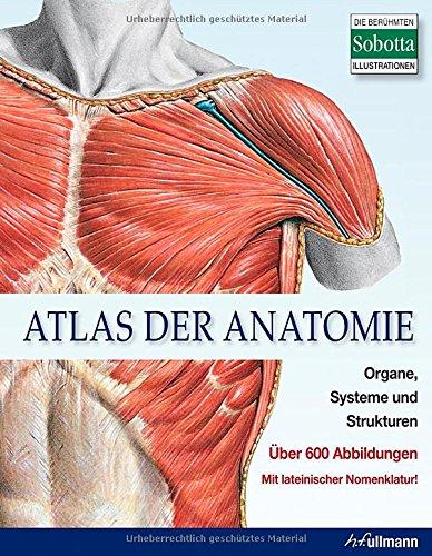 Atlas der Anatomie: Organe, Systeme und Strukturen. Mit lateinischer Nomenklatur.