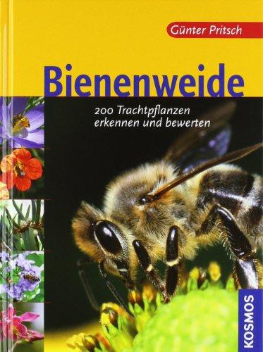 Bienenweide: 200 Trachtpflanzen erkennen und bewerten