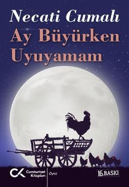 Ay Büyürken Uyuyamam