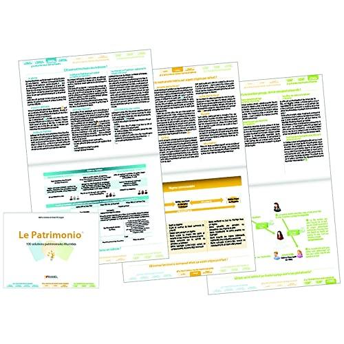 Le Patrimonio: 100 solutions patrimoniales illustrées