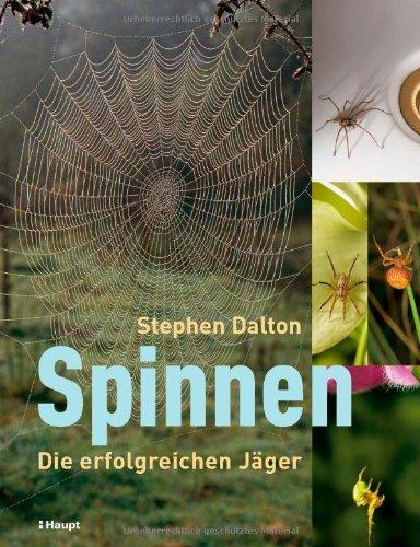 Spinnen: Die erfolgreichen Jäger