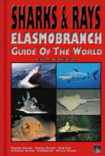 Sharks & Rays - Elasmobranch Guide of the World: Elasmobranch Guide of the World - Pacific Ocean, Indian Ocean, Red Sea, Atlantic Ocean, Caribbean, Arctic Ocean