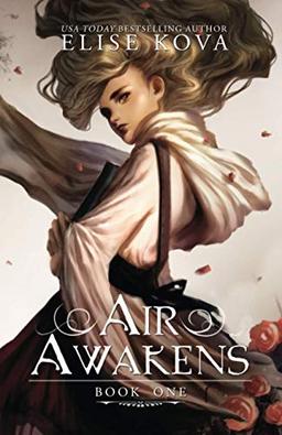 Air Awakens (Air Awakens Series, Band 1)