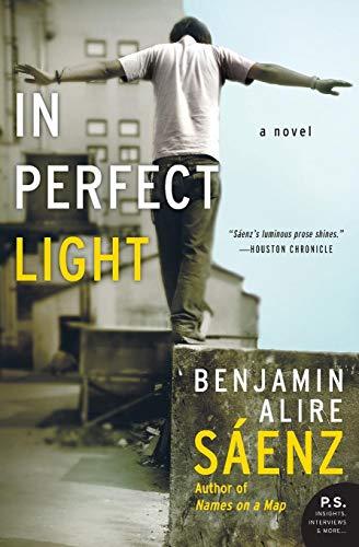 In Perfect Light: A Novel