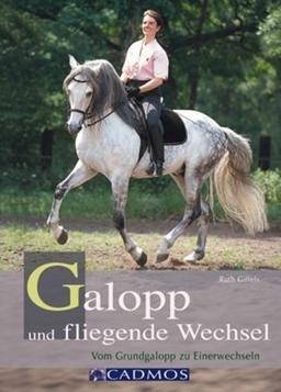 Galopp und fliegende Wechsel: Vom Grundgalopp zum Einerwechsel