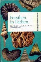 Fossilien in Farben. Eine Einführung in das Reich der Versteinerungen