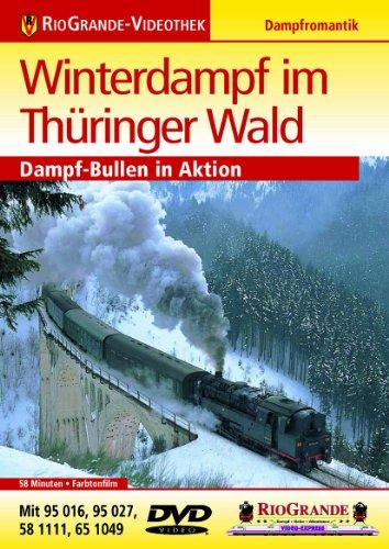 Winterdampf im Thüringer Wald - Dampf-Bullen in Aktion - Dampflokromantik - RioGrande