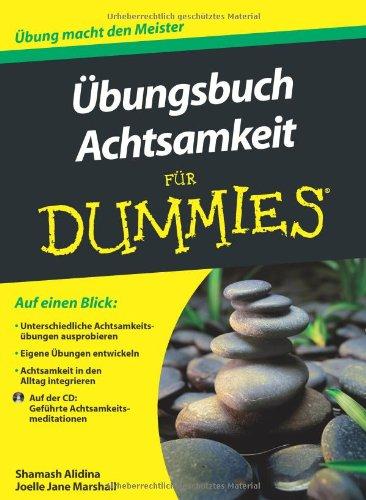 Übungsbuch Achtsamkeit für Dummies (Fur Dummies)