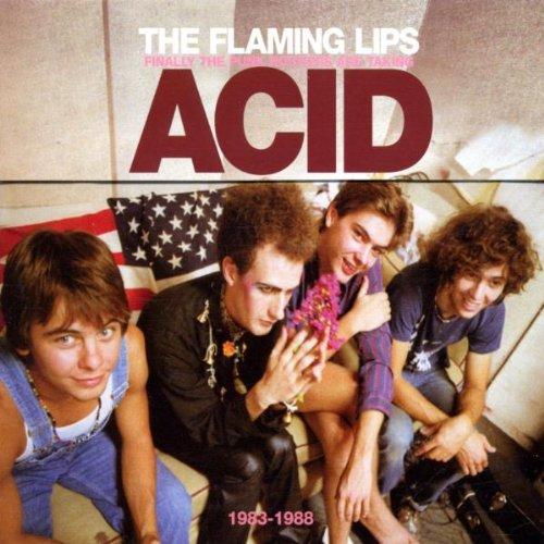 Finally the Punk Rockers Are Taking Acid,1983-1988