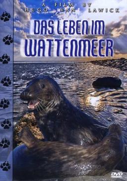 Das Leben im Wattenmeer