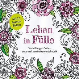 CD Leben in Fülle: Verheißungen Gottes untermalt von Instrumentalmusik