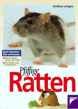 Pfiffige Ratten